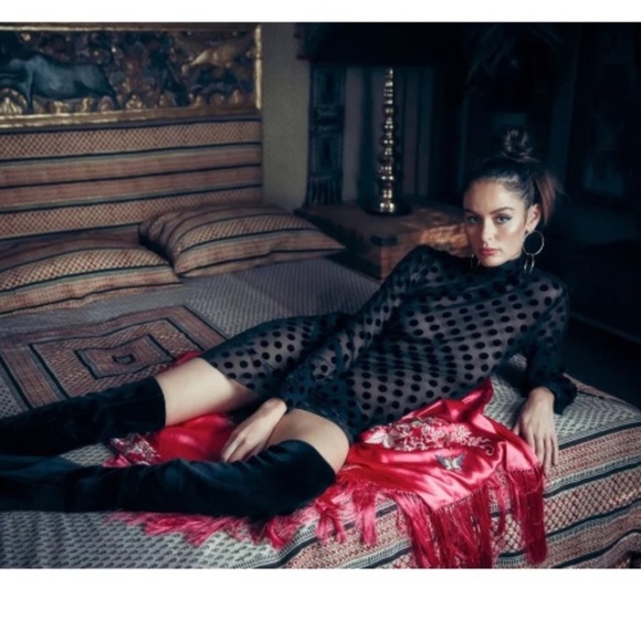 Stone Cold Fox Sheer Velvet Polka Dot Dress - Picture 11 of 16